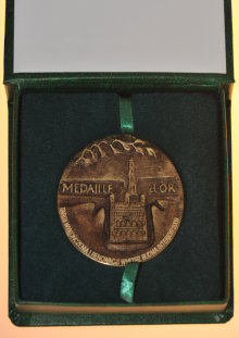 Złoty medal za Wy Spa Marzeń  (MTP Budma 2009)